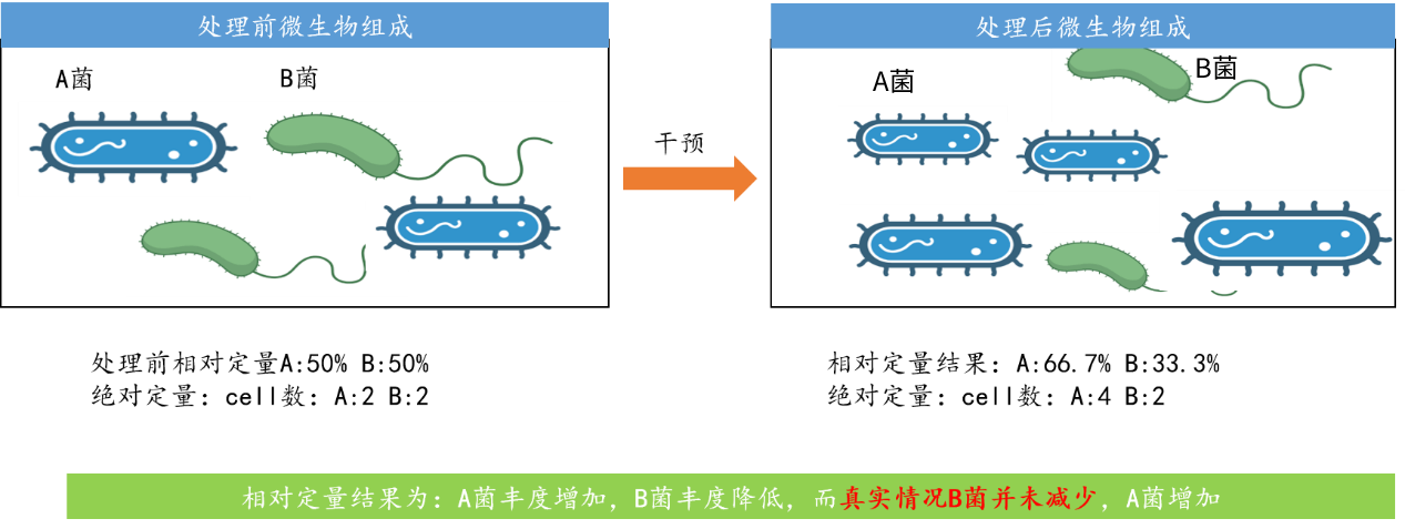 微生物/16S/細(xì)菌/擴(kuò)增子絕對定量